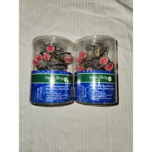 Cristmas Sugar Berry Merry brite Garland 6ft led